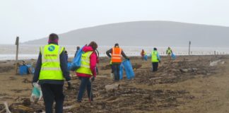 Berrow beach clean