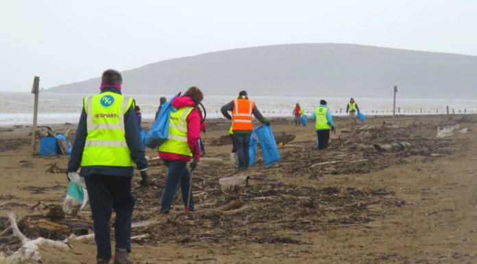 Berrow beach clean