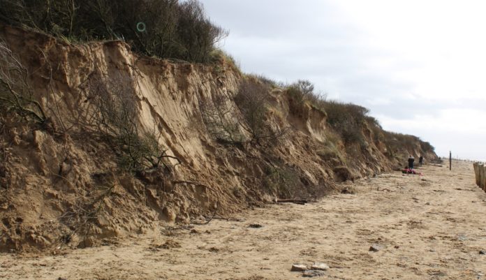 Berrow Beach sand dunes