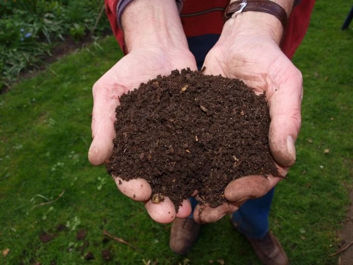 garden soil