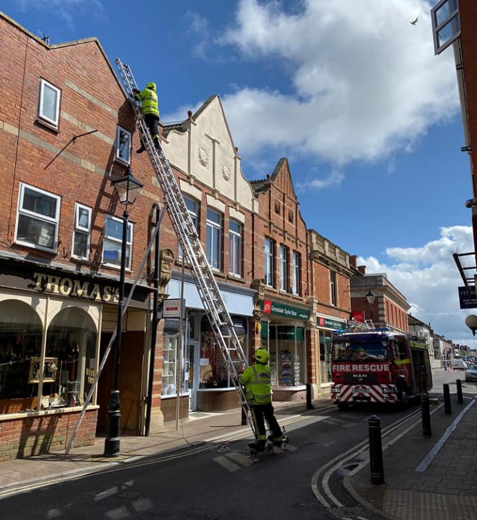 Burnham-On-Sea fire crew rescues seagull trapped in netting