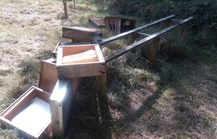 Bee hive damaged by vandals in Brean