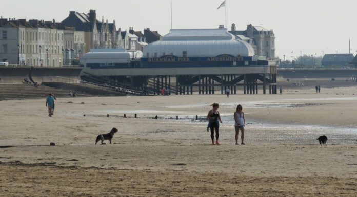 Burnham-On-Sea beach dog walkers