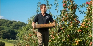 cider maker thatchers