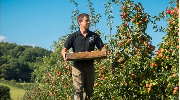 cider maker thatchers