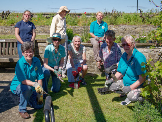 Photos: Burnham-On-Sea Friends of Marine Cove hold gardening session