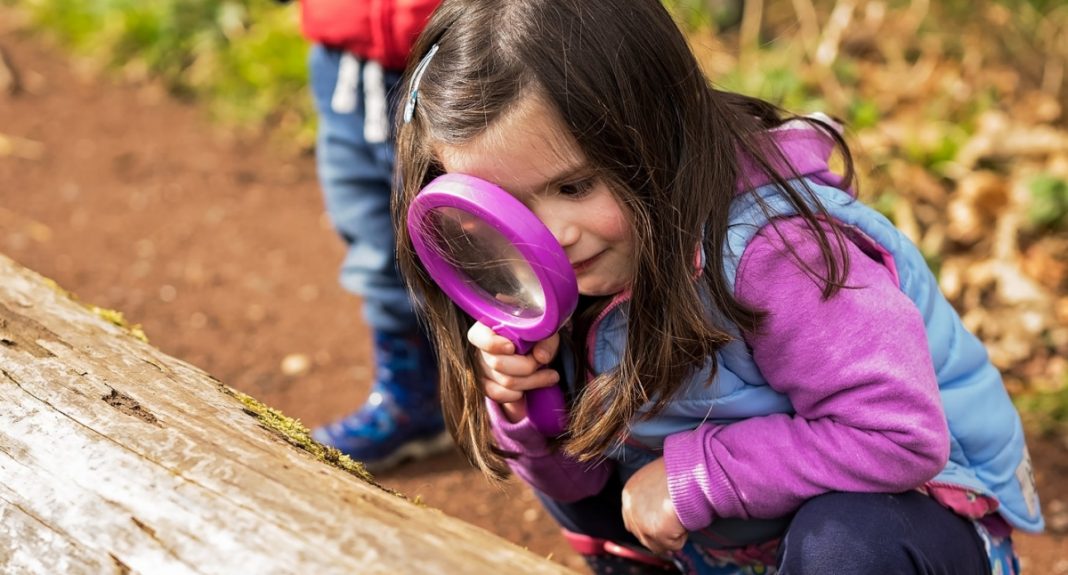 Somerset Wildlife Trust's Wildlife Watch Club to meet at Apex Park today