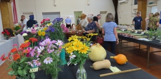 West Huntspill Show