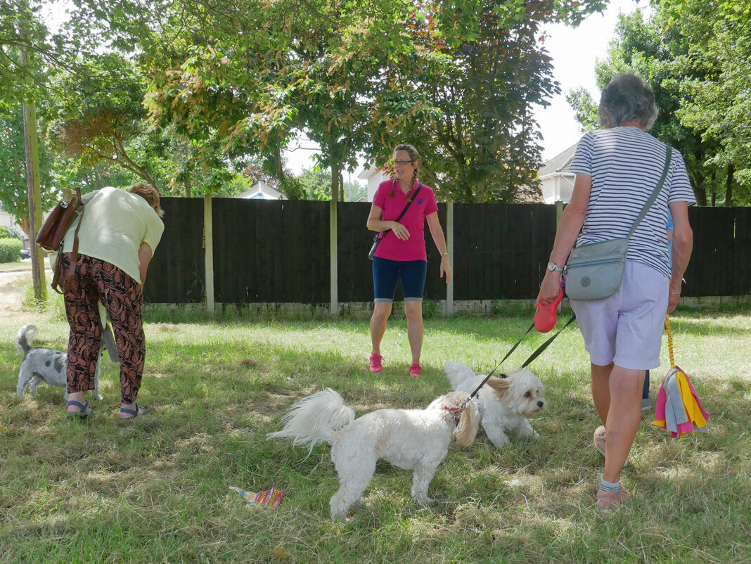 PHOTOS Burnham tea party held for dogs and owners to celebrate group's first year