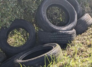 200 tyres found between villages of Mark and Wedmore