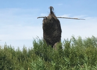 Willow Man sculpture next to the M5 in Somerset