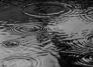 puddle, water, rain