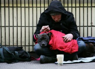 dog on top of person's lap while sitting on ground at daytime