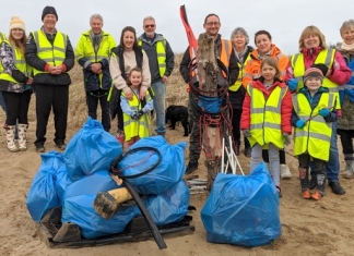 Friends of Berrow Beach