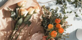 person holding orange fruit near green leaves