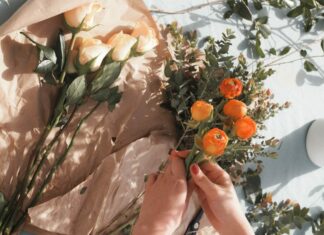 person holding orange fruit near green leaves