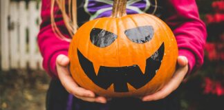 selective focus photography of person holding pumpkin