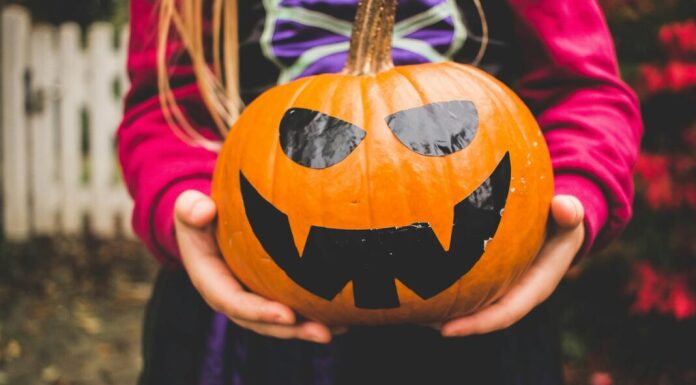 selective focus photography of person holding pumpkin